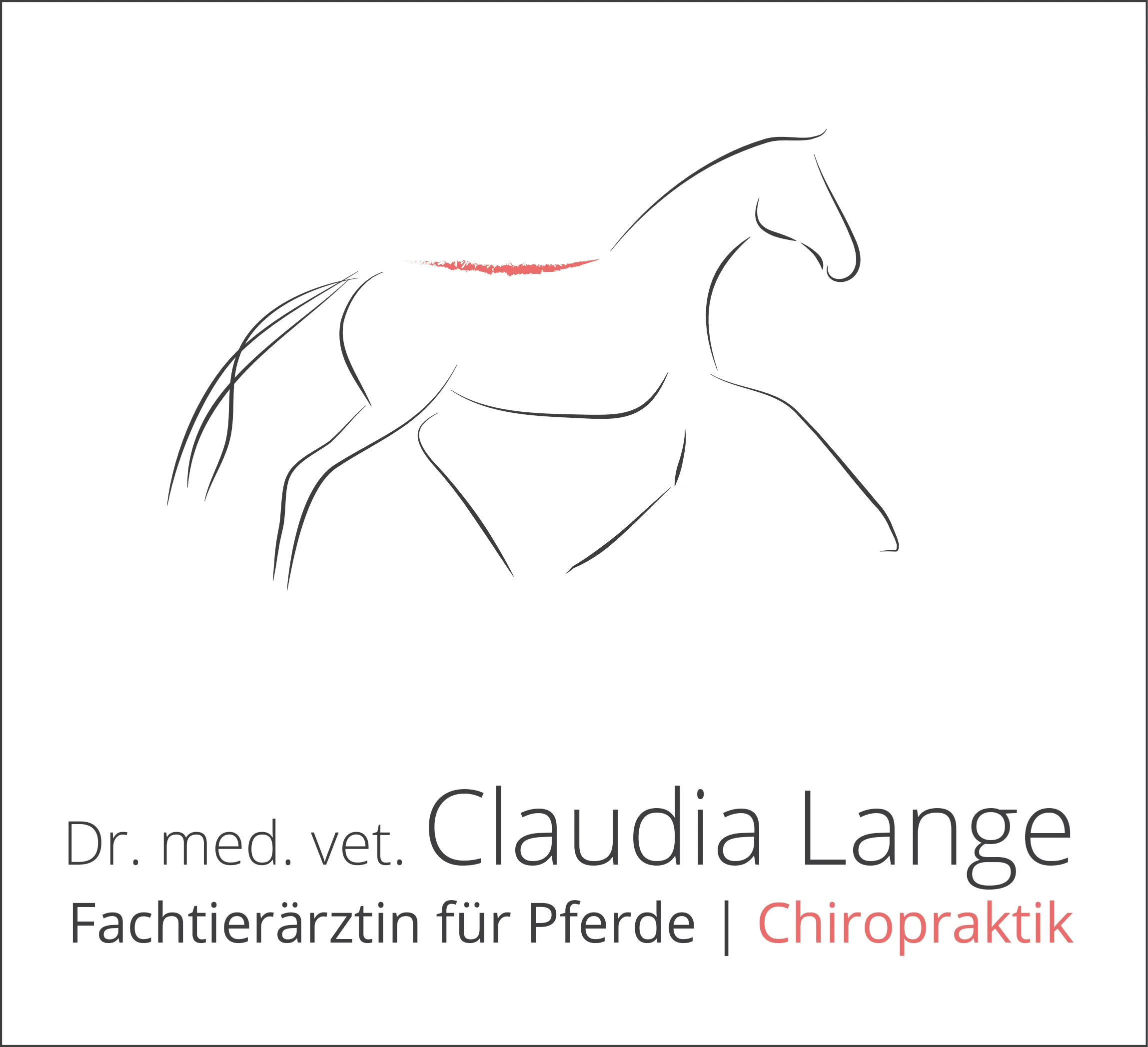 Tierarztpraxis für Pferde - Tierarzt - TIerärztin Claudia Lange - Chiropraktik - Osteopathie für Hunde und Pferde